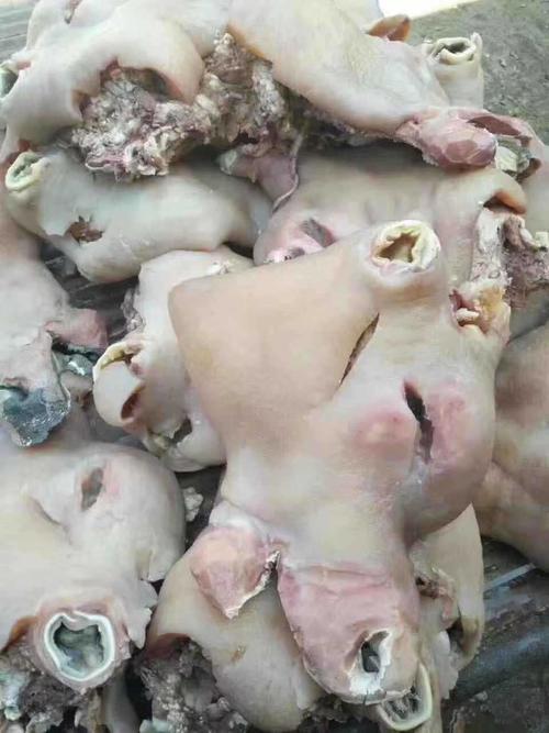 东莞市爽脆佳食品 预包装食品的品质与安心之选